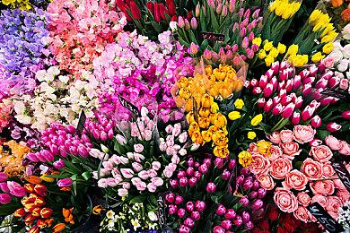 《边缘世界RimWorld》发布新内容剧透，新增中文社区支持